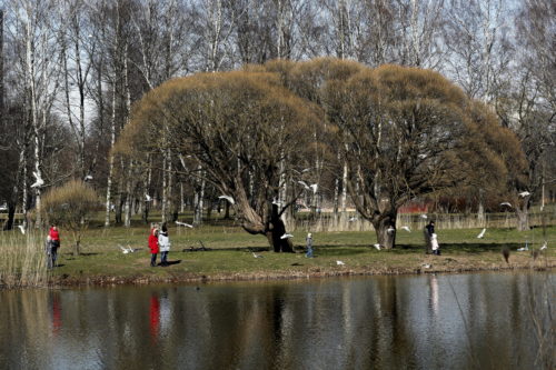 Οι περιορισμοί για την πανδημία ναι μεν μειώνουν την ατμοσφαιρική ρύπανση, αλλά μικρή επίπτωση έχουν στο παγκόσμιο κλίμα