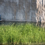 Το Φεστιβάλ Αθηνών & Επιδαύρου συνεχίζει την προβολή επιλεγμένων παραστάσεων