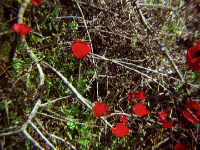 Μύρισε πρωτομαγιά