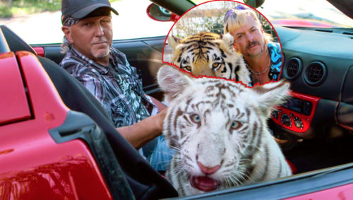 Κάθεστε; Έρχεται νέο επεισόδιο Tiger King!