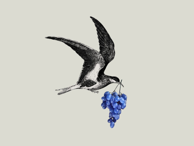 Σας έχουμε μια λίστα με κορυφαία Value for Money κρασιά που έρχονται στην πόρτα σας