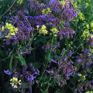 Πού πέταξε η άνοιξη;