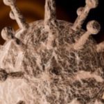 Ρουμπινί: Η επόμενη μέρα του κορωνοιού φέρνει την τέλεια καταιγίδα