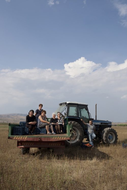 Tα υποψήφια ντοκιμαντέρ και οι υποψήφιες μικρού μήκους ταινίες των Ίρις 2020  δωρεάν στο FESTIVAL SCOPE