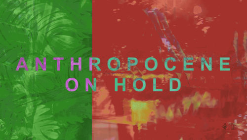 ANTHROPOCENE ON HOLD: Η διαδικτυακή ομαδική έκθεση του PCAI ανοίγει στις 14 Μαΐου 2020