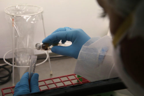 Ελλάδα-Κορωνοϊός: Στους 215 αυξήθηκε ο αριθμός των θανάτων