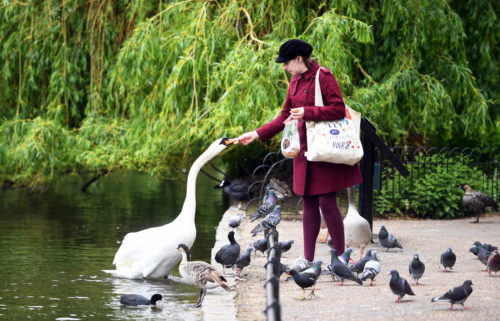 Βρετανία-Kορωνοϊός: Μια πολύ περιορισμένη χαλάρωση των μέτρων αναμένεται να ανακοινώσει ο Μπόρις Τζόνσον