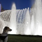 Μπακογιάννης: «Κάναμε λάθος στα εγκαίνια της Πλατείας Ομονοίας»