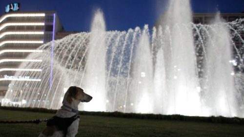 Μπακογιάννης: «Κάναμε λάθος στα εγκαίνια της Πλατείας Ομονοίας»