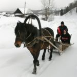 Κλιματικό χάος: Στους 38 βαθμούς ο υδράργυρος σε πόλη της Σιβηρίας