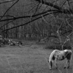 To Enter των Michael Silverstone & Abigail Browde: «Ελπίζουμε ότι το project στο μέλλον θα ειδωθεί ως κομμάτι μιας αξιόπιστης αλήθειας»