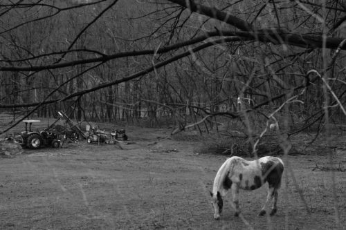 To Enter των Michael Silverstone & Abigail Browde: «Ελπίζουμε ότι το project στο μέλλον θα ειδωθεί ως κομμάτι μιας αξιόπιστης αλήθειας»