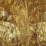 Το Enter του Γιώργου Ζώη: «Σε ένα μακρινό μέλλον ένα κορίτσι και ένα αγόρι κάνουν έρωτα»