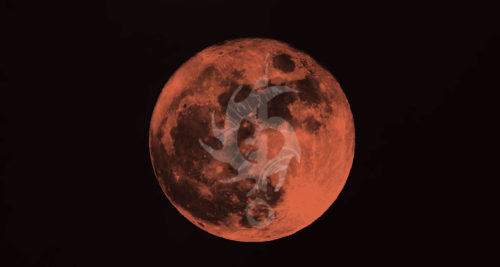 Το Enter των ITCHY-O είναι μια επίκληση στους θεούς για ισορροπία μεταξύ των αντιθέτων