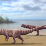 Οι κροκόδειλοι ήταν κάποτε όρθιοι