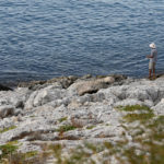 Greenpeace: Πόσο ανάπτυξη είναι η ανάπτυξη; Η περίπτωση της Πειραϊκής