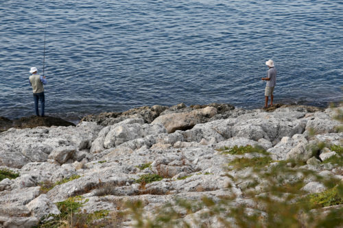 Greenpeace: Πόσο ανάπτυξη είναι η ανάπτυξη; Η περίπτωση της Πειραϊκής