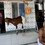 Ινδία-κορωνοϊός: Ξεπέρασε το 1,6 εκατομμύριο ο αριθμός των κρουσμάτων