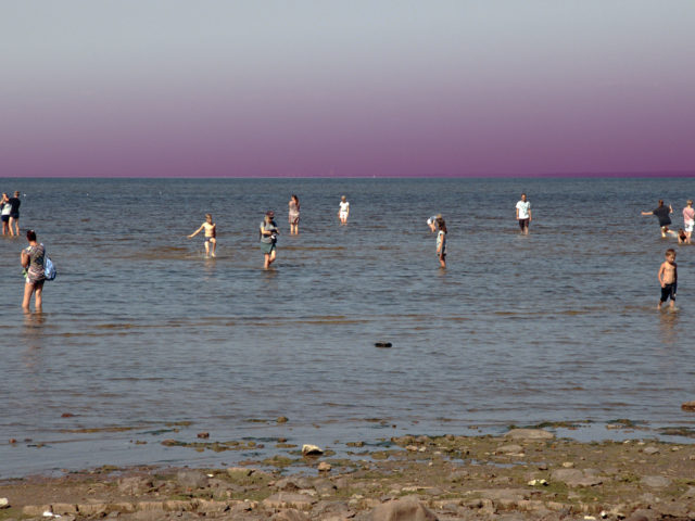 «Κάθε κιβωτός είναι Κιβωτός μνήμης»