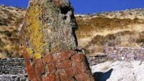 Γιγαντιαίος κορμός απολιθωμένου δένδρου βρέθηκε στο χωριό Βάρος της Λήμνου