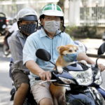 Θα συνεχίσει και στο απώτερο μέλλον να κυκλοφορεί στην ανθρωπότητα ο κορωνοϊός;