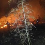 Κέρκυρα: Περισσότερα από 200 στρέμματα δασικής έκτασης κάηκαν στην περιοχή Αγίου Στεφάνου στον Ερημίτη