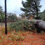 Κέρκυρα: Έντονα καιρικά φαινόμενα πλήττουν το νησί