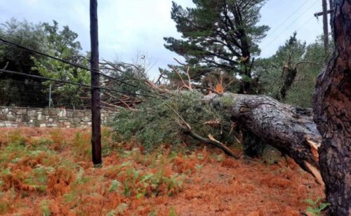 Διακοπές ρεύματος και κλειστά σχολεία στην Χαλκιδική λόγω «Διομήδη»
