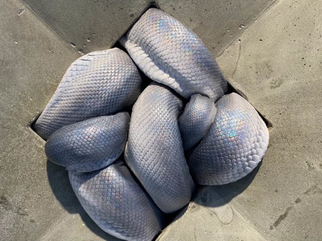 Τέχνη στο Λονδίνο σήμερα: Covid Εdition