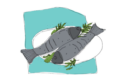 «Πυξίδα Φαγητού» πιθανώς το πιο ολοκληρωμένο και επιστημονικό μέχρι σήμερα – σύστημα κατάταξης τροφίμων