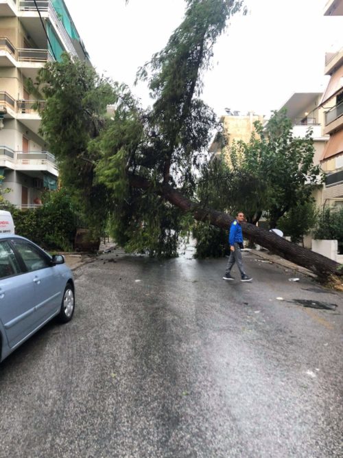 Κακοκαιρία: Δείτε εικόνες από τα πεσμένα δέντρα στο Νέο Ηράκλειο