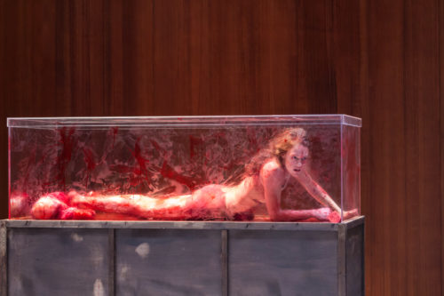 WE STAY CLOSE, NOT CLOSED: Μπείτε στο ψηφιακό κανάλι του Ιδρύματος Ωνάση