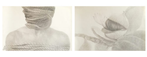 Η πολιτιστική πλατφόρμα “Greece in USA”εγκαινιάζεται στη Νέα Υόρκη με 43 Έλληνες και Κύπριους καλλιτέχνες.