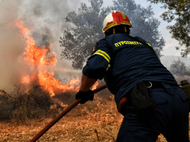 Νεκρό 6χρονο προσφυγόπουλο ύστερα από φωτιά σε hotspot στη Θήβα [ΒΙΝΤΕΟ]