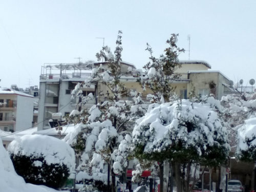 Παραμένουν ο παγετός και οι χαμηλές θερμοκρασίες σε Έβρο και Ροδόπη