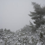 Αττική: Κλειστά όλα τα σχολεία Ειδικής Αγωγής και Εκπαίδευσης την Τρίτη και την Τετάρτη