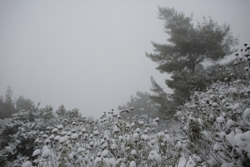 Πολίτες της Λέσβου ζητούν να τους επιτραπεί η φιλοξενία προσφύγων στα σπίτια τους λόγω κακοκαιρίας