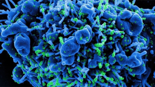 Ο κορονοϊός όλου του κόσμου θα χωρούσε μέσα σε ένα τενεκεδάκι αναψυκτικού