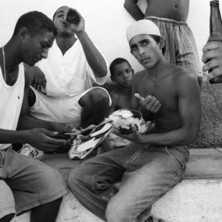 Κοκορομαχίες στην Κούβα