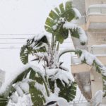 Διακοπή της κυκλοφορίας στη λεωφόρο Πάρνηθος λόγω χιονόπτωσης