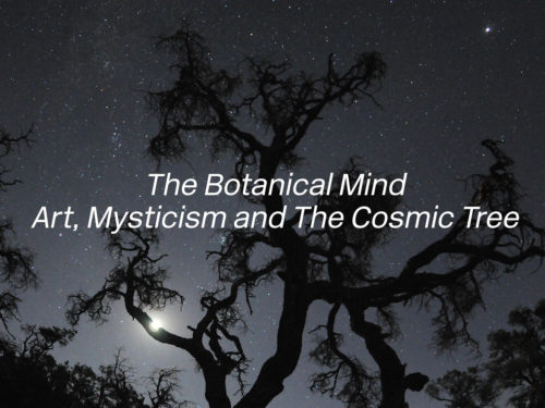 The Botanical Mind Online: Ένα πρότζεκτ για τη σημασία των φυτών για τον άνθρωπο
