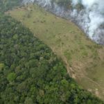 Κλιματική αλλαγή: Τα δύο τρίτα των τροπικών δασών έχουν καταστραφεί ή υποβαθμισθεί