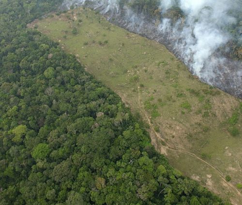 Κλιματική αλλαγή: Τα δύο τρίτα των τροπικών δασών έχουν καταστραφεί ή υποβαθμισθεί