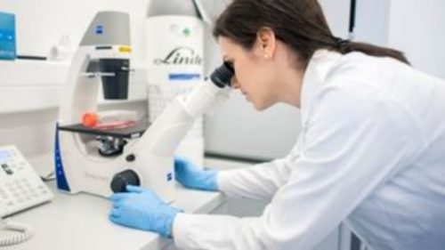 Η συχνή χρήση κάνναβης από τους εφήβους συνδέεται με πτώση του δείκτη νοημοσύνης