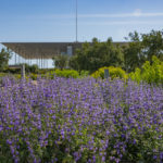 Το ΚΠΙΣΝ υποδέχεται την άνοιξη με ένα πολυποίκιλο πρόγραμμα εκδηλώσεων