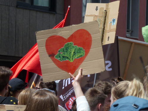 Γίνε ένας από τους συγγραφείς του κλιματικού νόμου