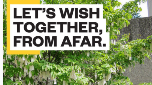 Διαδικτυακά θα διεξαχθεί φέτος το “Wish Tree” της Yoko Ono