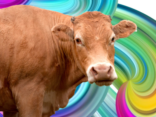 Μπορείς να συνεχίσεις να τρως κρέας χωρίς να θανατώνονται ζώα; Η τάση του cultured meat λέει «ναι»