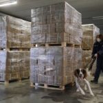 Θεσσαλονίκη: Κινηματογραφική καταδίωξη 25χρονης drug dealer που μετέφερε 14 κιλά ηρωίνης