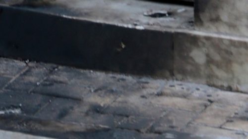 Θεσσαλονίκη: Γκαζάκια σε ισόγειο χώρο του Ινστιτούτου Γκαίτε